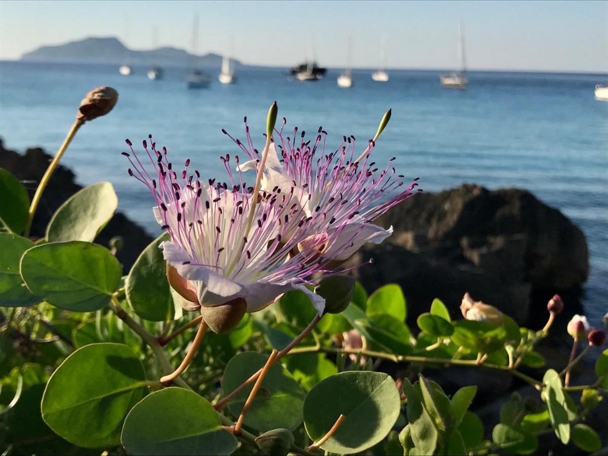 Zaffiro Lavico Rooms Etna Nature Sea Acireale Buitenkant foto